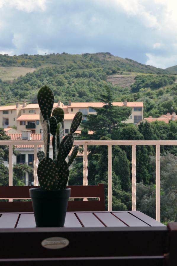 Ibanova Appartements Collioure Luaran gambar